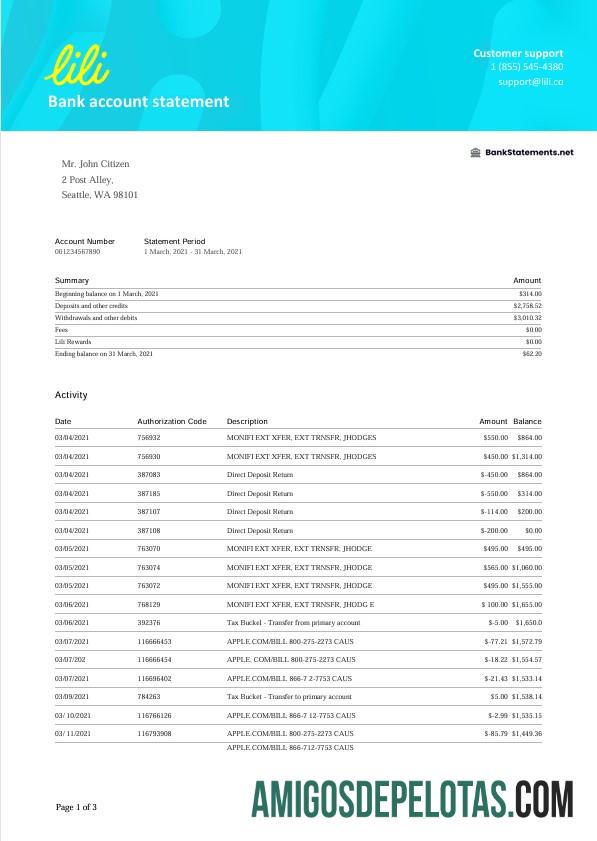 USA Lili Bank Statement Word amostra